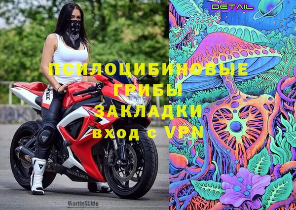 дмт Бугульма