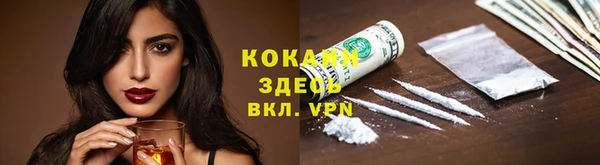 индика Богородск