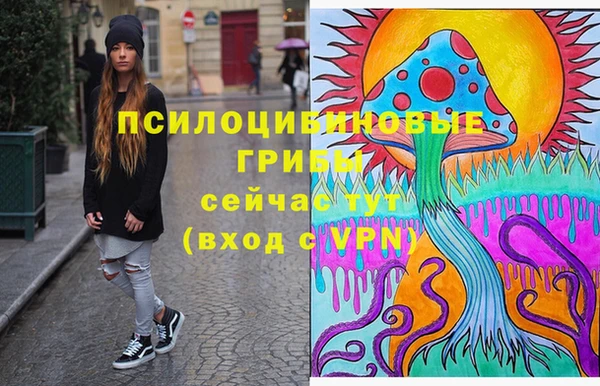 PSILOCYBIN Богородицк