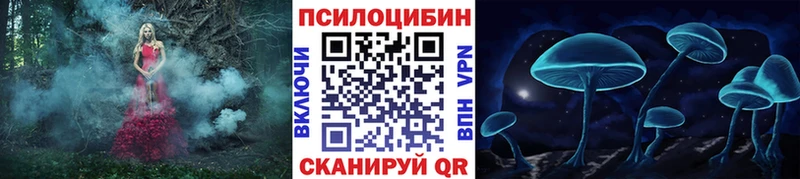darknet как зайти  Зеленодольск  Галлюциногенные грибы GOLDEN TEACHER 